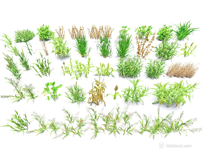 Different Kinds of Crops With Green Leaves and Dried Stems Growing Together 3d model 