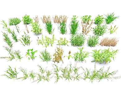 crop dealer grain wheat rice vegetable field plant 3d model