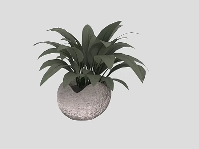 Lush Green Leaf Bonsai Potted Plant in Round Gray Stone Texture Pot with Simple Background 3d model