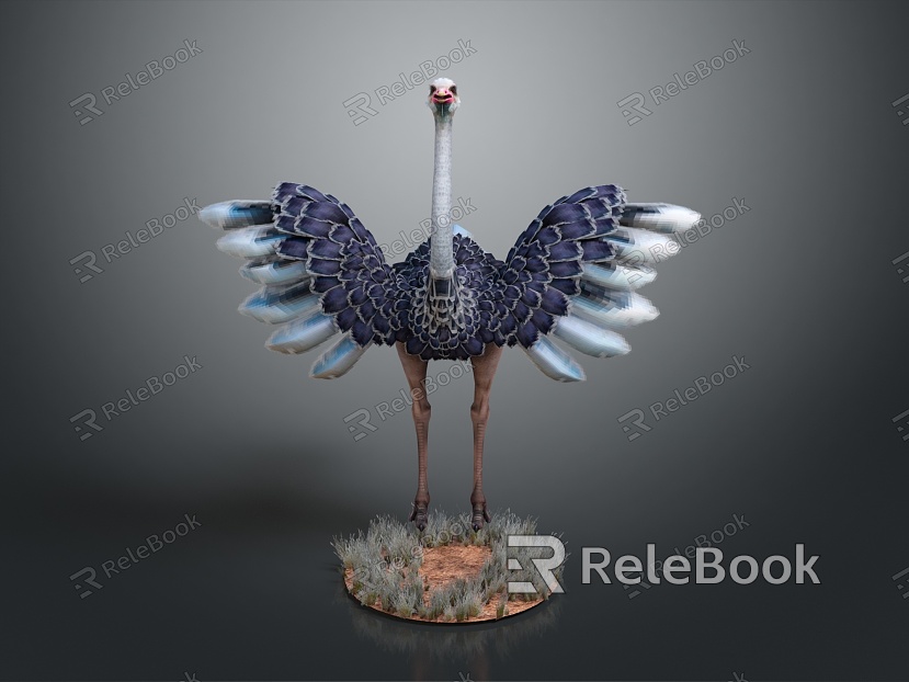 Ostrich spider bird bird bird bird animal game animal cartoon animal animal model