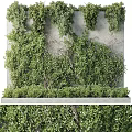 Lush Green Vertical Garden Feature with Plant Covered Wall and Low Shrubs on Concrete Base