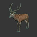 Brown Deer With Large Antlers Standing On Black Reflective Surface 3d model