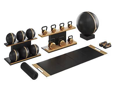 Modern Home Gym Equipment Set With Black Gold Dumbbells Exercise Ball Yoga Mat And Shelves 3d model