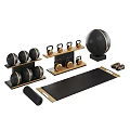 Modern Home Gym Equipment Set With Black Gold Dumbbells Exercise Ball Yoga Mat And Shelves