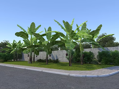 Rural Landscape With Lush Banana Trees Green Grass And Stone Wall Under Clear Blue Sky 3d model