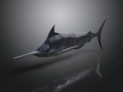 Swordfish With Silver Streamlined Body Long Bill And Dorsal Fin In Dark Background 3d model