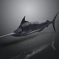 Swordfish With Silver Streamlined Body Long Bill And Dorsal Fin In Dark Background