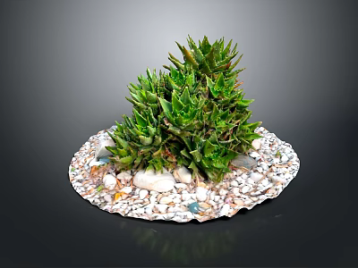 Green Leafy Succulent Plants On Circular White Pebble Base With Small Stones And Colorful Pebbles 3d model