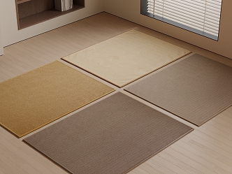 Modern Carpet 3d model