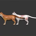 Colorful Cat Figurines With Various Colors Standing Poses And Shiny Surfaces