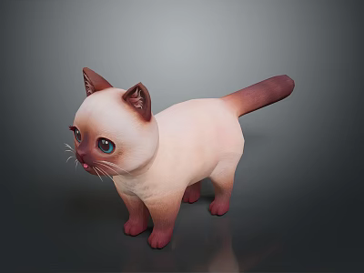 Siamese Kitten With Light Body Dark Ears Tail Paws And Blue Eyes On Gray Background 3d model