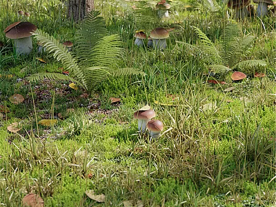 Decorative Ornament Set With Mushrooms Ferns Moss On Grass And Fallen Leaves Tree Trunk 3d model