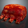 Fresh Raw Bone In Ribs With Red And Yellow Marbling Texture