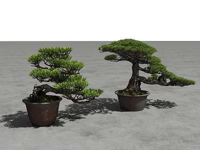 Artistic Bonsai Trees with Curved Branches Green Foliage in Dark Pots on Gray Ground 3d model