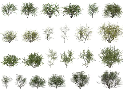 Various Green Plants Collection With Different Shapes Bushes And Small Trees 3d model