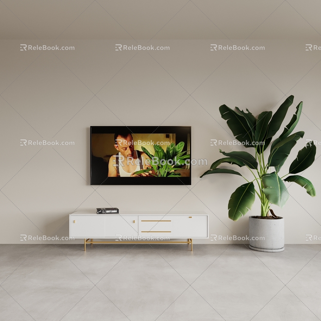 TV TV cabinet potted plant low cabinet 3d model