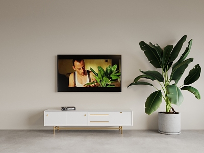 TV cabinet potted plant low cabinet 3d model