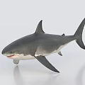 Realistic Aquatic Animal Shark Model Figure with Lifelike Features on White Background