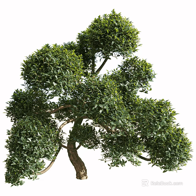 Lush Green Arbor With Unique Branch Structure And Dense Foliage Design 3d model