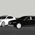 White and Black Luxury Sedans Parked in Open Coastal Area with Sky Background