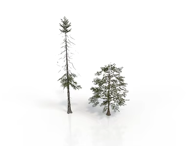 Tall And Short Trees With Green Leaves And Brown Trunks On White Background 3d model