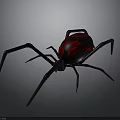 Black Spider With Red Flame Pattern On Abdomen And Long Legs Design
