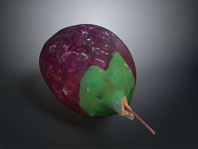 Anatomical Organ Structure Featuring Hair Follicles Purple Green And Brown Tissues 3d model