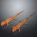 Three Orange And Brown Lizards On Dark Background With Reflections 3d model