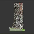 Natural Wooden Stump Decor With Stone Base And Green Moss Accents