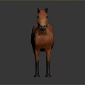 Red Horse Model With Black Mane And Legs On Dark Background