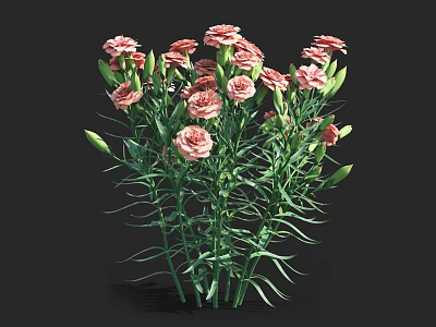 Beautiful Vibrant Pink Carnations Bunch with Green Stems and Fresh Leaves 3d model