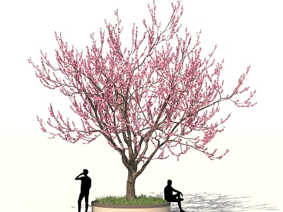 Tall Tree With Pink Blossoms And Two People Standing And Sitting On Circular Grass Base 3d model