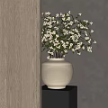 Beige Striped Vase With Small White Blooming Flowers On Dark Shelf Light Wall 3d model