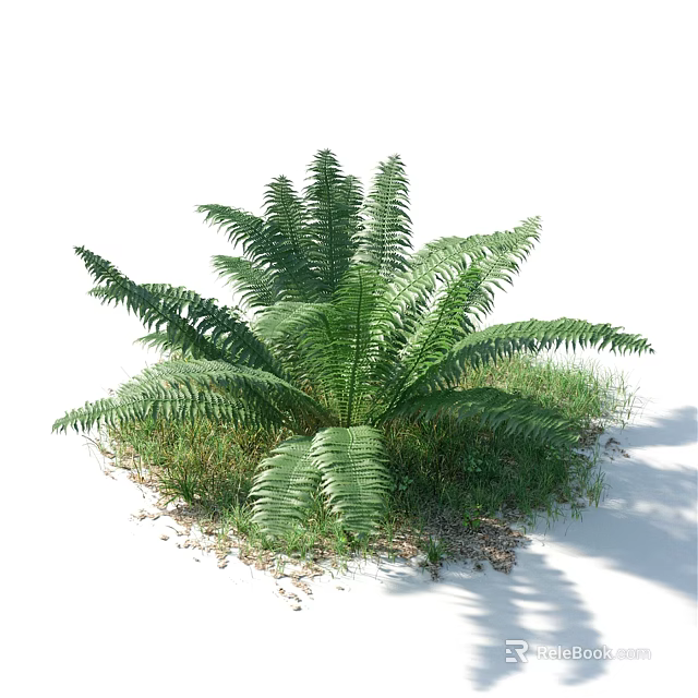 Fern Bush with Lush Green Fronds Surrounded by Grass and Fallen Leaves in Natural Setting 3d model 