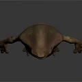 Game Movie Character Frog Like Creature With Bulging Belly Textured Skin Standing Posture