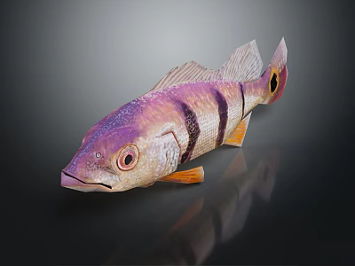 Colorful Fish With Purple Pink Black Stripes Orange Fins Large Eyes On Dark Background Reflection 3d model