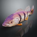Colorful Fish With Purple Pink Black Stripes Orange Fins Large Eyes On Dark Background Reflection