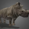 Detailed Realistic Rhinoceros 3D Model in Standing Pose on Gray Background