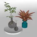 Silver And Teal Vases With Green Leaf And Red Foliage Plants On White Round Pedestal