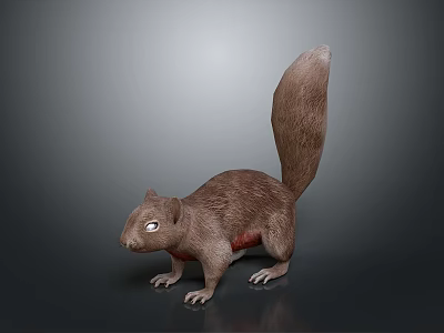 Realistic Brown Fur Squirrel With Long Tail In Standing Posture On Gray Background 3d model