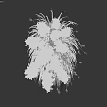 Ornamental Garden Grass With Tall Fluffy Plumes And Green Leaves Decor
