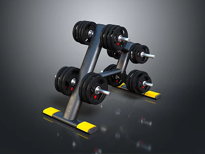 Sturdy Dumbbell Rack With Multiple Weight Plates For Home Gym Equipment 3d model