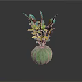 Indoor Decorative Plant with Green and Yellow Leaves in Green Pumpkin Shaped Vase
