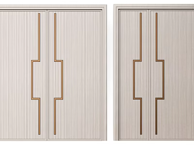 Stylish Double Doors Design With Vertical Panel And Gold Metal Handle 3d model