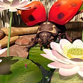 Garden Landscape With White Lotus Flowers Green Lily Pads And Red Spotted Ladybug