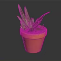 Spotted Green Succulent Plant With Long Pointed Leaves In Terracotta Pot For Indoor Decor