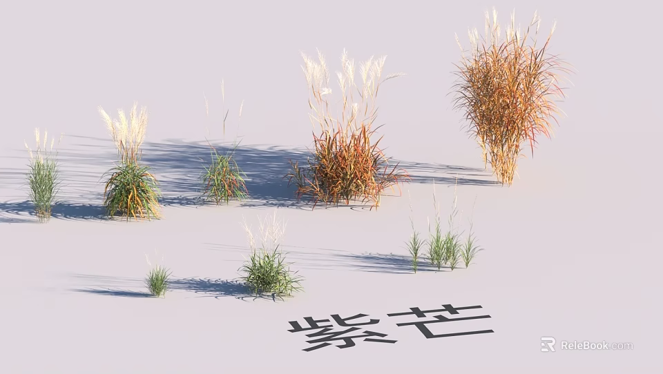 Garden Landscape Design With Ornamental Grasses Including Zimang And Various Herbaceous Plants 3d model 
