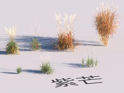 Garden Landscape Design With Ornamental Grasses Including Zimang And Various Herbaceous Plants 3d model