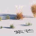 Garden Landscape Design With Ornamental Grasses Including Zimang And Various Herbaceous Plants