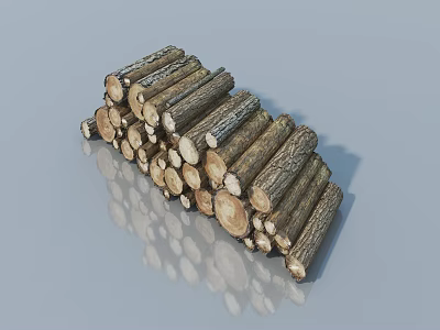 Natural Stacked Wooden Logs with Bark and Round Cross Sections on Smooth Surface 3d model